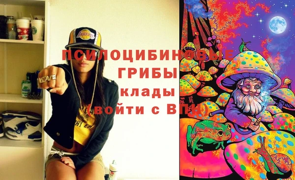 гидра Семилуки